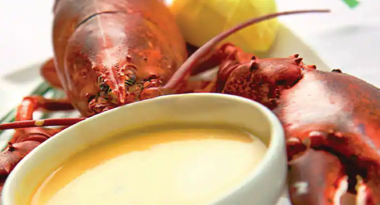 مطاعم أبوظبي مطاعم أبوظبي